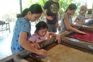 Elephant Poo Poo Paper Park and Sticky Waterfall Tour in Mae Raem