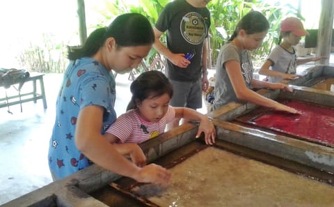 Elephant Poo Poo Paper Park and Sticky Waterfall Tour in Mae Raem