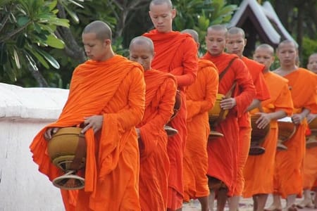 An Authentic Samui Experience