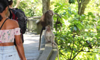 Private Half Day Tour to Ubud 6