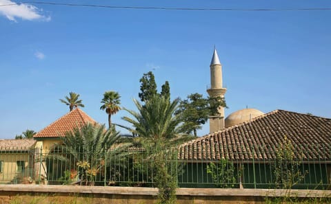Larnaca and Nicosia Cultural Day Tour from Paphos