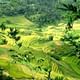 Authentic Sapa Trekking With Local Family Homestay (2d1n by bus)