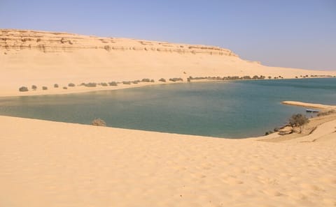 Unforgettable Private Tour to Wadi El Hitan and Tunis Beach