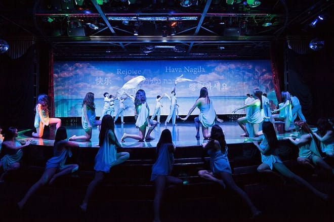 Calypso Cabaret: Dazzling Lights & Performances 6