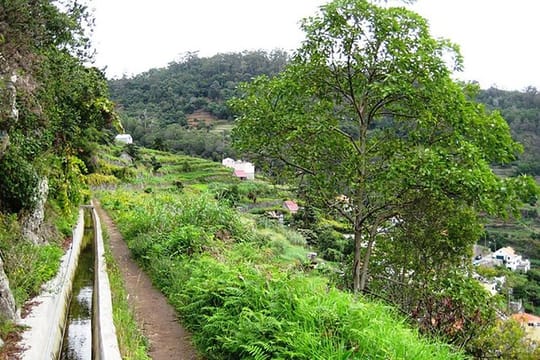 Day Trip to Maroços / Vale Das Mimosas