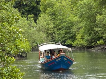 Tg Rhu Langkawi Mangrove Popular Boat Tour