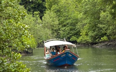 Combo – Cable Car & Sky Bridge And Tg. Rhu Mangrove Private Boat Tour With Lunch