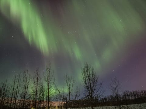 Northern Lights Classic Tour from Akureyri, photo 3