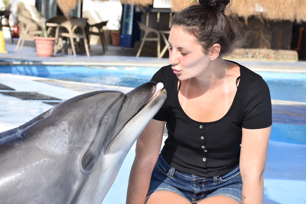 Premium 10 Minutes Dolphin Swimming Experience - Hurghada 10