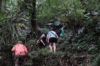 Mount Merapi: A Serene Soft Trek Through Botanic Villages Tour 4