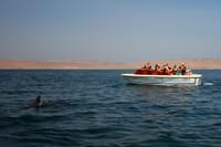 Paracas