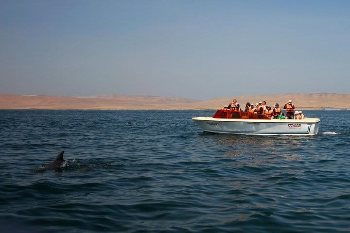 Paracas