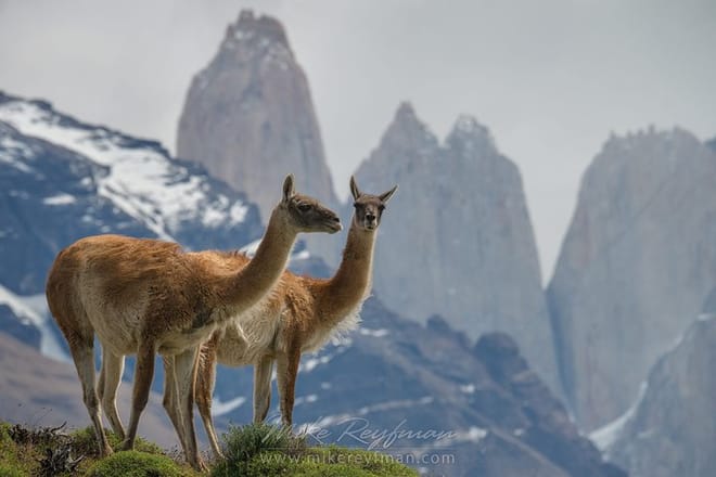 8-Days Unique Experience in Easter Island & Chilean Patagonia 4