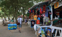 Samana: Cayo Levantado Tour with Beach 3