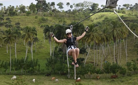 Ziplining Adventure Over Punta Cana's Lush Landscape