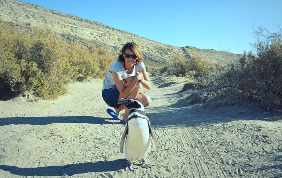 Patagonia Ranch and El Pedral Penguin Colony Tour from Puerto Madryn