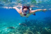 Amazing Snorkeling Experience in Cancun 4