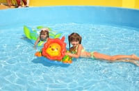 Premium Panorama Semi-Submarine, Snorkeling Sea Trip - Hurghada 10
