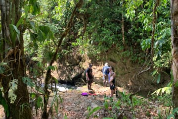 Corcovado National Park Day Adventure in Drake Bay