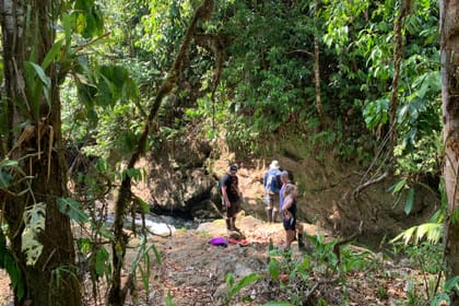 Paraiso verde Corcovado Day Tour