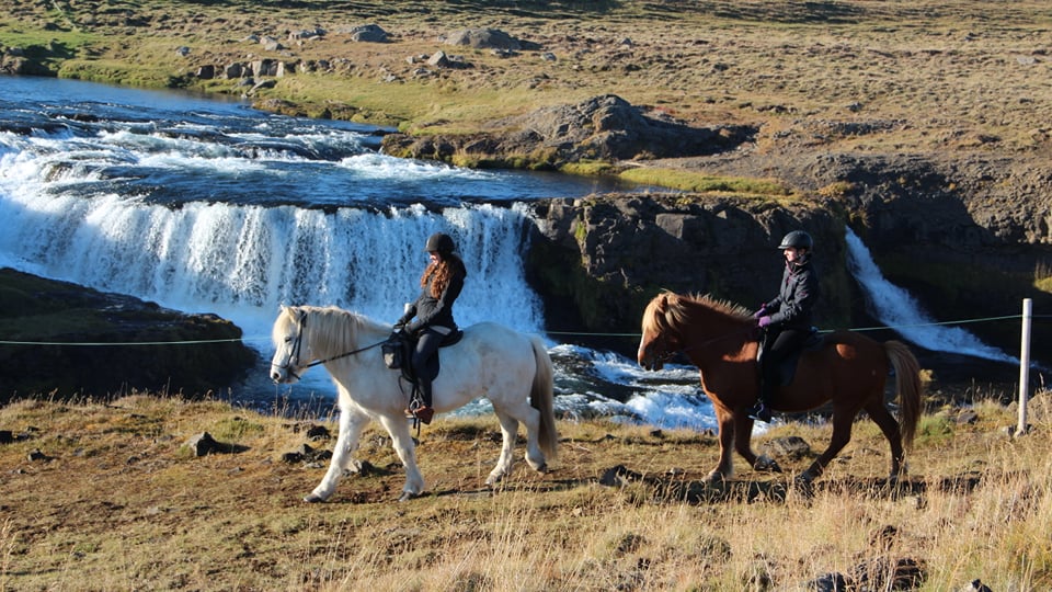 Skagafjörður: horses and rafting on the Ring Road