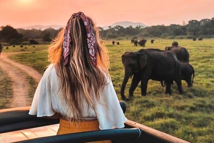 Sigiriya Rock and Dambulla Cave Temple Day Tour