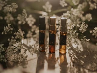 The Art of Natural Icelandic Perfumery Fragrance: Creation Workshop, photo 13