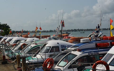 Cham Island Day Tour: Speed Boat, Lunch, Snorkeling & Beach