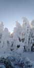 Private 2-day Trip with Snowshoes 3
