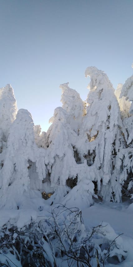 Private 2-day Trip with Snowshoes 3