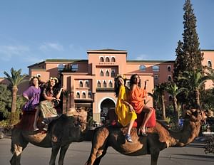 7 Days : Spicy Tagine : Marrakech Essaouira & Atlas | Private & Luxury