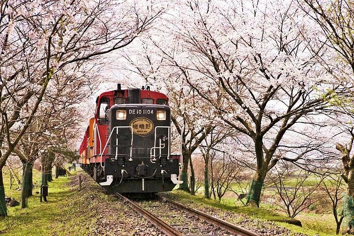 Arashiyama, SanzenIn and Bamboo Forest Day Tour from Kyoto/Osaka