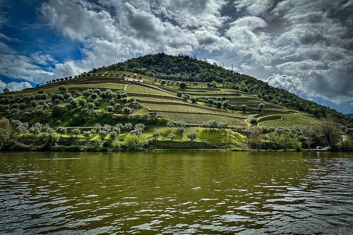 DOURO VALLEY & AMARANTE: Scenic or Wine Experience Private Tour