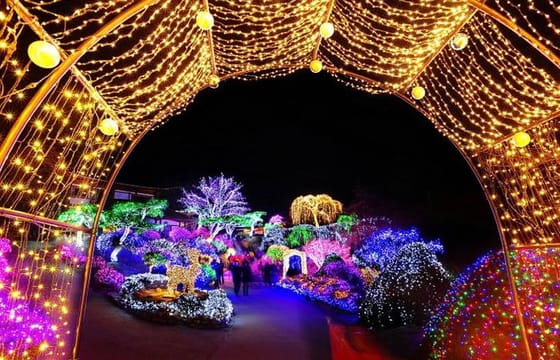 3day Korea winter private tour to Nami, Ski Resort and Ice Fishing Festival