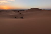 Visit the Nomads Behind the Dunes of Erg Chebbi by 4WD 9