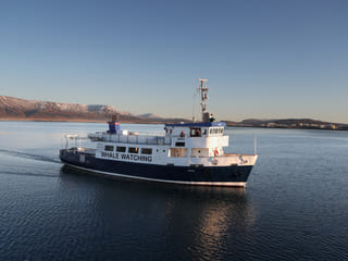 New Years Fireworks by Boat from Reykjavik, photo 7