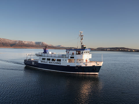 New Years Fireworks by Boat from Reykjavik, photo 7