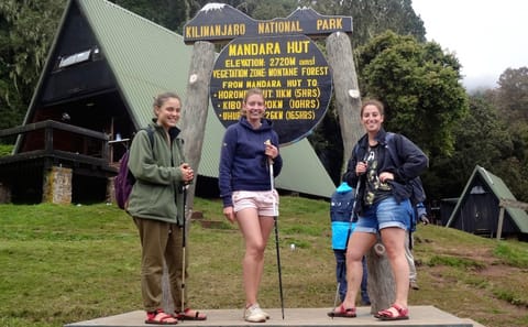 From Arusha: Mount Kilimanjaro Day Hikes