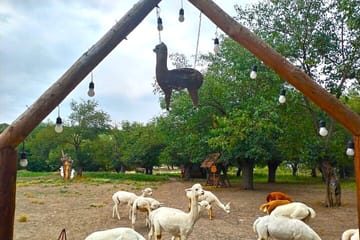 8 Days Private Azerbaijan Cultural and Natural Wonders Tour