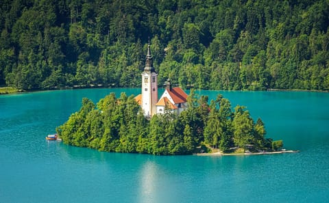 Private Lake Bled Tour with Castle Visit from Ljubljana