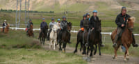 Horse Riding & Golden Circle 1