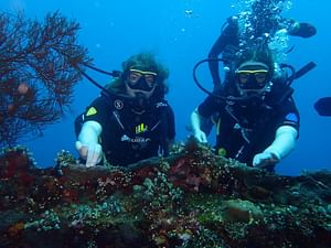 Private 8 hours Guided Experience Dive in Tulamben