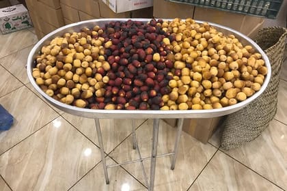 Private Day Trip to Nizwa, Jabal Akhdar (Green Mountain) & Birkat Al Moz