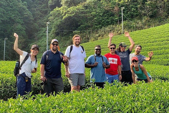 Guided Bike Tour to a Green Tea Farm in Shizuoka (not e-bikes)