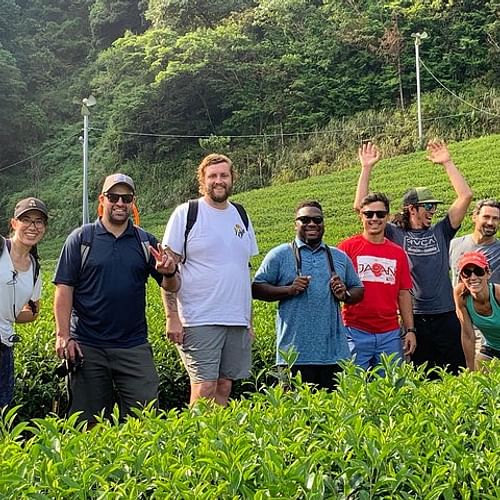 Guided Bike Tour to a Green Tea Farm in Shizuoka (not e-bikes)