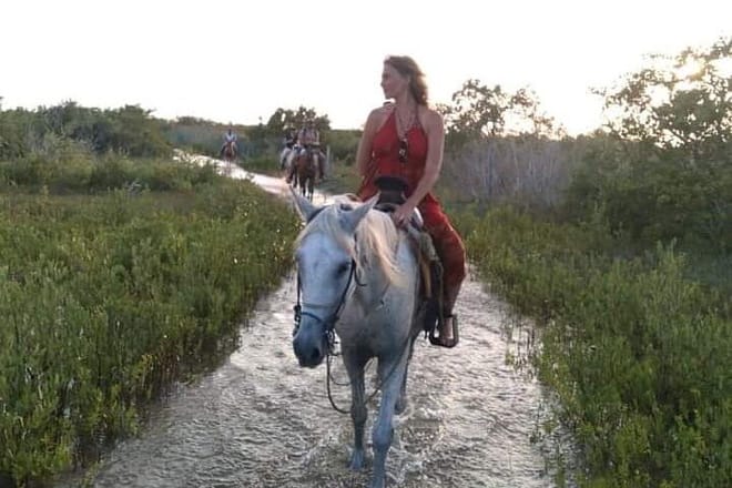 Horseback Riding on the Beaches of Holbox photo 6