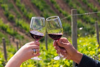 Private Algarve Wine Tour : 2 Wineries, Tastings & Tapas 