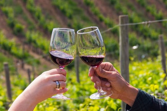 Private Algarve Wine Tour : 2 Wineries, Tastings & Tapas