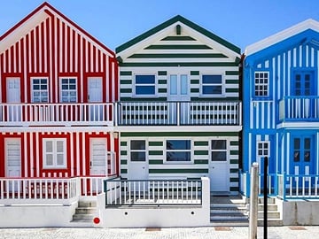 Shared Coimbra & Aveiro Tour from Porto with Moliceiro Cruise