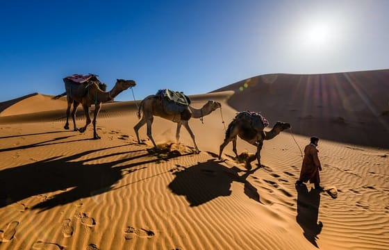 Big Morocco Tour 15 Days From Casablanca